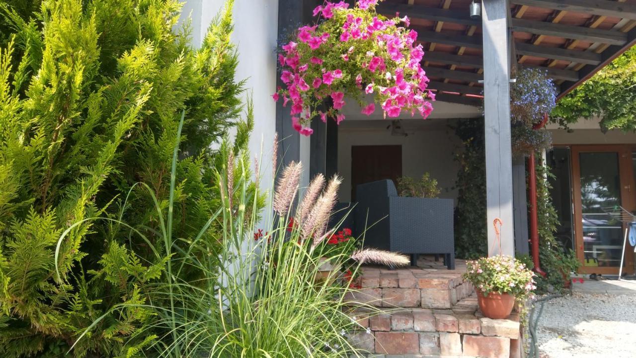 Kamien Baltyku Apartment Debina  Luaran gambar